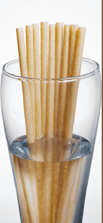 SmartBio 100% Home-Compostable Sugarcane Straw