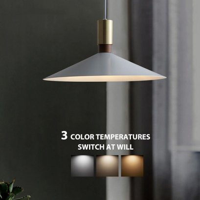 LED Changeable Light Pendant