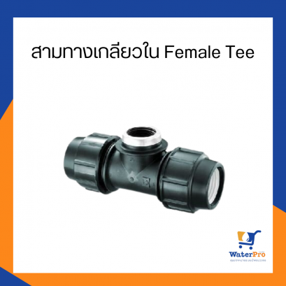 สามทางเกลียวใน Female Tee อุปกรณ์สวมอัด