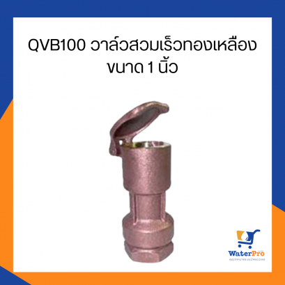 Super Products รุ่น QV B 100 วาล์วสวมเร็วทองเหลือง เกลียวใน ขนาด 1 นิ้ว