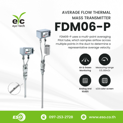 Air flow sensor FDM06-P