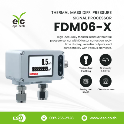 FDM06-X Thermal Mass Differential Pressure Flow Signal Processor