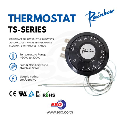 Thermostat TS Series Rainbow