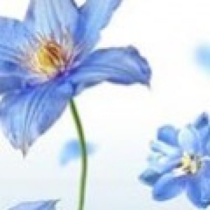 อยู่ที่เรา