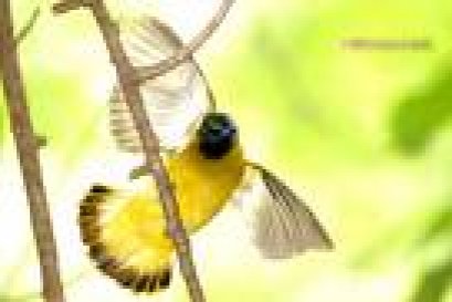 ล้มแล้วลุก ...รุกไปข้างหน้า