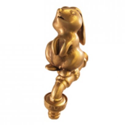 ก๊อกสนาม - กระต่ายแหงนหน้า