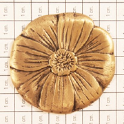 ติดพื้น/ผนัง - ดาวกระจายเล็ก