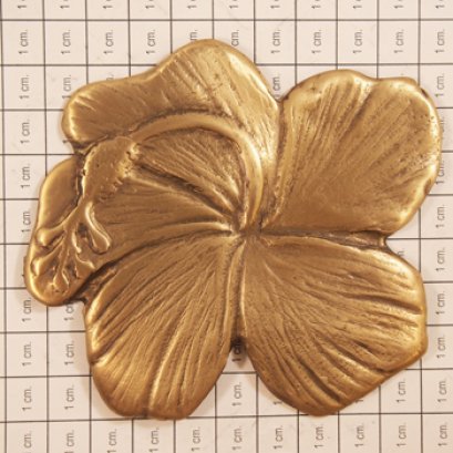 ติดพื้น/ผนัง - ดอกชบาเกสร