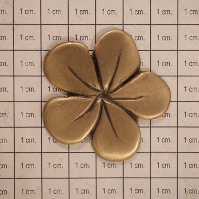 ติดพื้น/ผนัง - ลั่นทมเล็ก