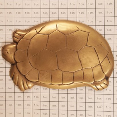 ติดพื้น/ผนัง - เต่าใหญ่