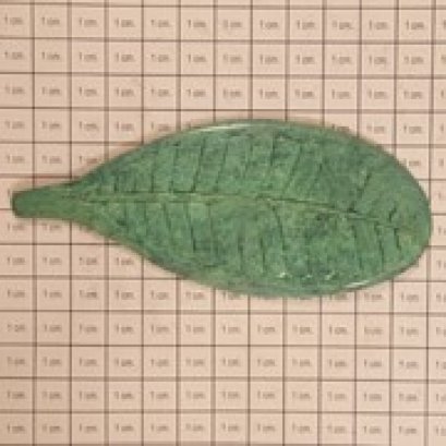 ติดพื้น/ผนัง - ใบลั่นทมเล็ก (เขียว)