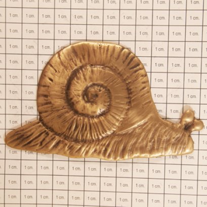 ติดพื้น/ผนัง - หอยทาก