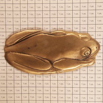 ติดพื้น/ผนัง - เขียดใหญ่