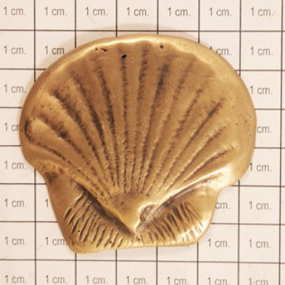 ติดพื้น/ผนัง - หอยเชลล์เล็ก