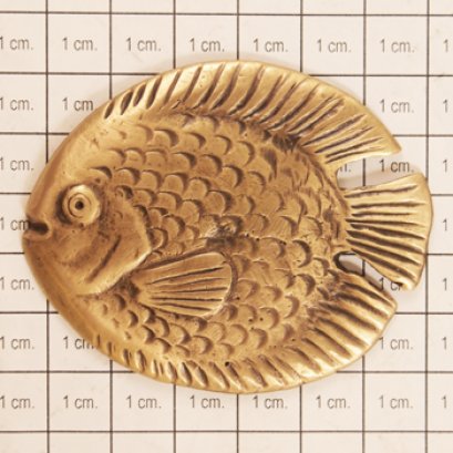 ติดพื้น/ผนัง - ปลาเล็ก