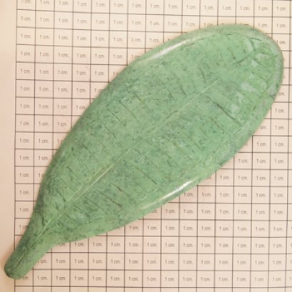 ติดพื้น/ผนัง - ใบลั่นทมใหญ่