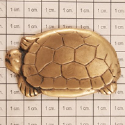 ติดพื้น/ผนัง - เต่าเล็ก