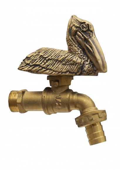 ก๊อกสนาม - หัวนกปากห่าง