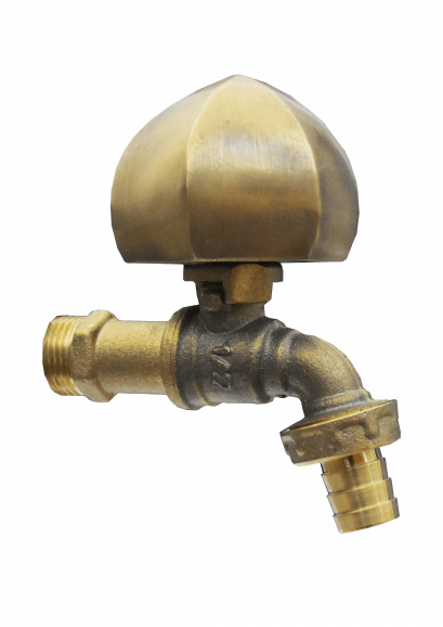 ก๊อกสนาม - มะเฟืองเรียบ