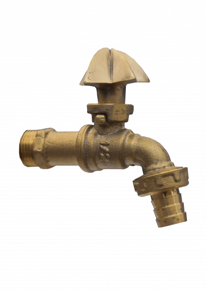 ก๊อกสนาม - มะเฟืองเล็ก