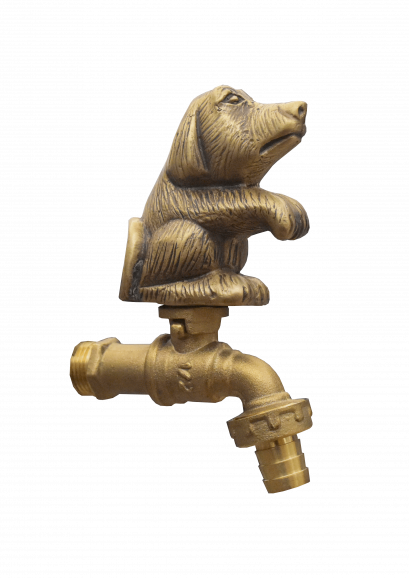 ก๊อกสนาม - สุนัขแก่