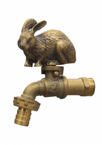 ก๊อกสนาม - กระต่ายฝรั่ง