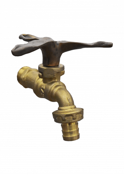 ก๊อกสนาม - กล้วยไม้ 3 แฉก