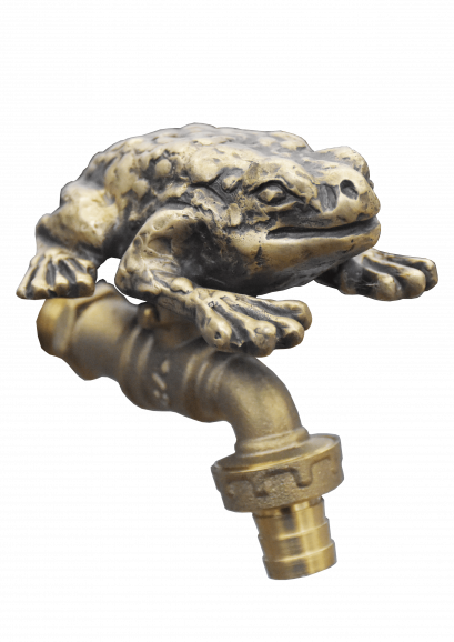 ก็อกสนาม - คางคก (รมดำ)