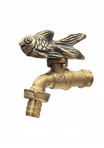 ก๊อกสนาม - ปลาทอง