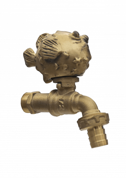 ก๊อกสนาม - ปลาปักเป้า