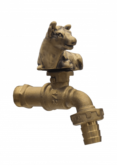 ก็อกสนาม - วัวนอน