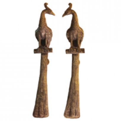 มือจับ - นกยูงใหญ่