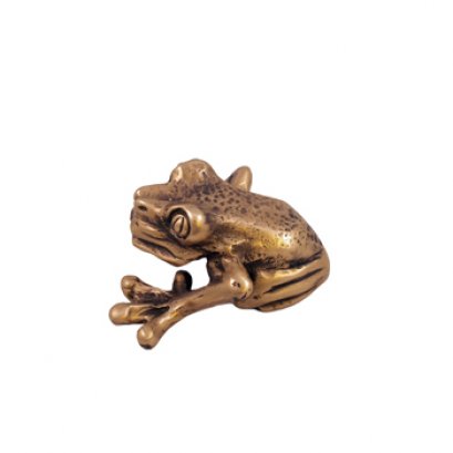 มือจับ - เขียดเล็ก