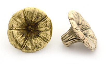 มือจับ - ผักบุ้ง