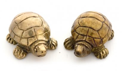 มือจับ - เต่าเล็ก