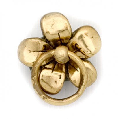 มือจับห่วง - ลั่นทมเล็ก