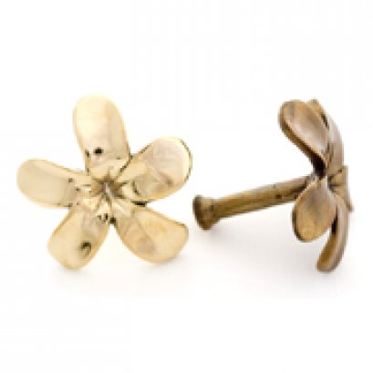 มือจับขายาว - ลั่นทมใหญ่