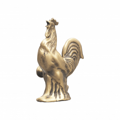 มือจับ - ไก่โต้ง