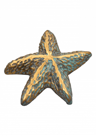 มือจับ - ปลาดาวใหญ่