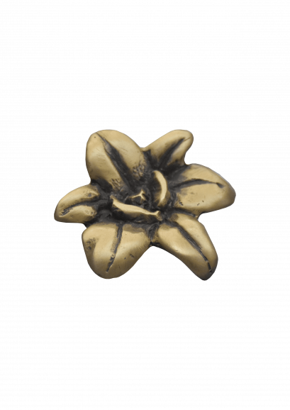 มือจับ - กล้วยไม้เล็ก