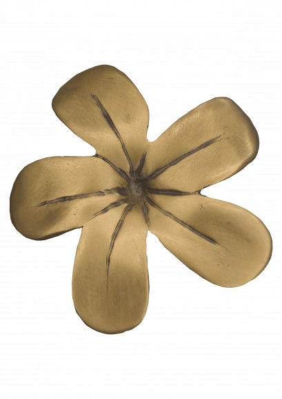 มือจับ - ดอกลั่นทมใหญ่