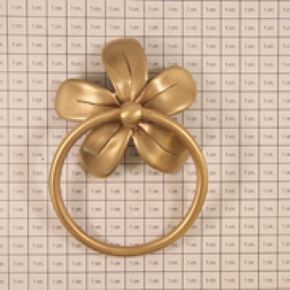 มือจับห่วง - ลั่นทมใหญ่