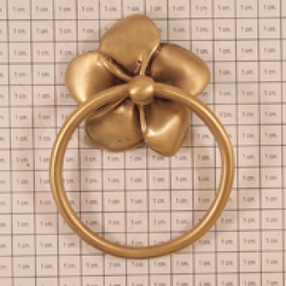 มือจับห่วง - ลั่นทมกลีบซ้อน