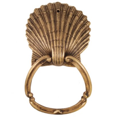 มือจับห่วง - หอยเชลล์ใหญ่