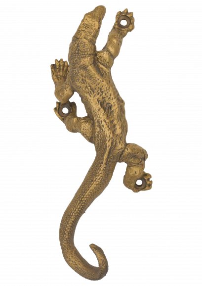 ตะขอ - จรเข้น้อย