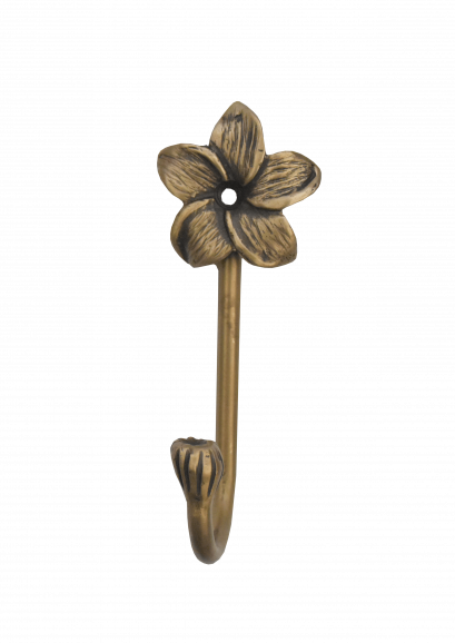 ตะขอ - ดอกแก้วกลีบแหลม