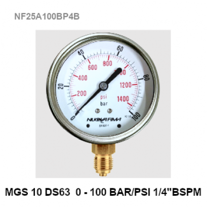 0-100Bar (0-1400 PSI) Ø 2.5&quot; Brass Lower BSPM