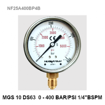 0-400 Bar (0-3500 PSI) Ø 2.5" Brass Lower BSPM