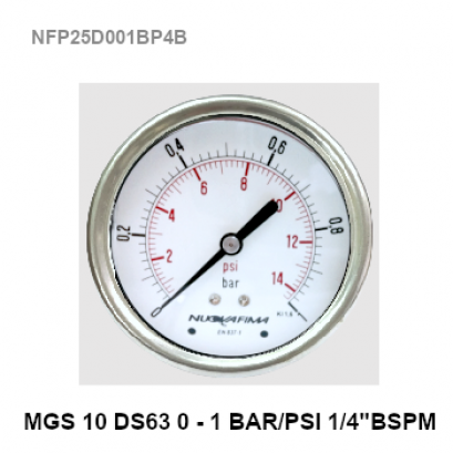-1-3 Bar(-30-40 PSI) Ø 2.5&quot; Brass Back 1/4&quot;