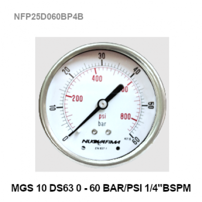 0-60Bar(0-800Psi) Ø 2.5" Brass Back 1/4"